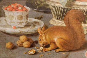 Still Life With A Squirrel And A Parrot (detail) — Jacob Foppens Van Es