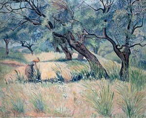 Les Oliviers (oliveraie Morning) — Lucien Pissarro