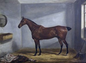 A Bay Hunter In A Loose Box — William Webb