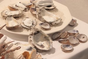 Naturaleza Muerta Para Uno — Marja Godoy González