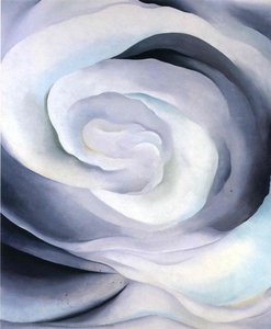 Abstraction White Rose — Georgia O'keeffe