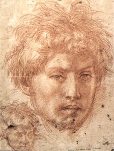 Head Of A Young Man — Andrea Del Sarto