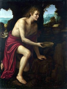 Saint John The Baptist In The Desert — Martino Piazza Da Lodi