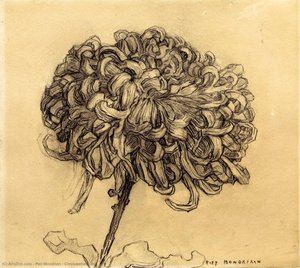 Chrysanthemum — Piet Mondrian