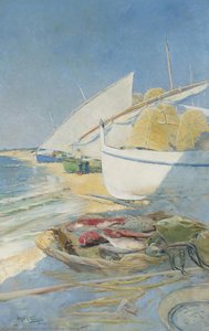 Fishing — Arcadi Mas I Fondevila
