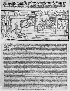A Wunderbarliche Erschrockenliche Warhafftige Historian (rychenwyler) — Heinrich Wirrich