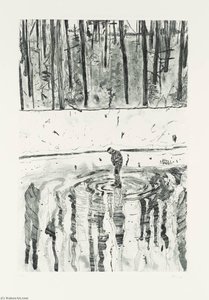 Blotter — Peter Doig