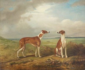 A Pair Of Greyhounds — Sr John E Ferneley