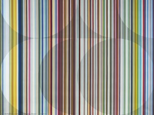 Elusive — Gabriela Boer