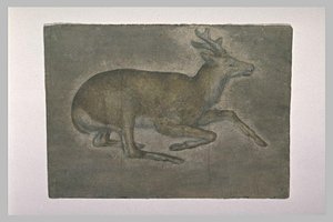 Sketch Of Young Deer — Jacopo Bellini