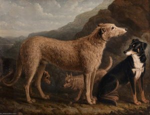Four Dogs A Collie From Tweedale, A Scots Deerhound, An Otter Terrier And A Scots Terrier — William Shiels