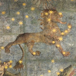 Leo — Fernando Gallego