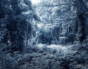 Trade Winds 07 (aqua), From The Series — Yojiro Imasaka