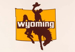 Untitled (wyoming), From The Wyoming Documentary Survey Project — Penny Diane Wolin