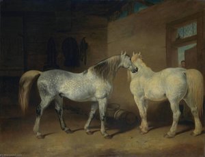 Draught Horses — Abraham Cooper