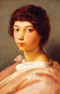 Portrait D'un Jeune Homme — Raphaël
