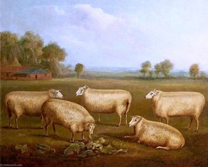 Five Leicester Sheep — William Henry Davis