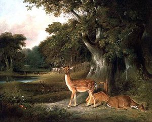 Deer In A Wooded Landscape — Thomas In William Daniell