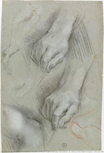 Studies Of Hand, Fingers And Leg, Foot Sketch (for “rest On The Flight To Egypt”, Città Del Vaticano, Pinacoteca Vaticana) — Federico Fiori Barocci
