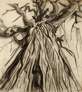 Sketch For Tree — Isabel Mclaughlin