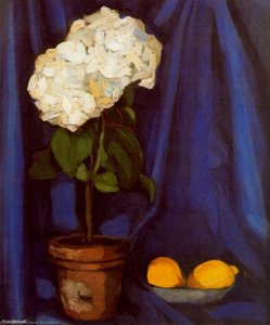 Nature Morte Au Citrons — Tamara De Lempicka