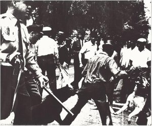 Birmingham Riot — Andy Warhol