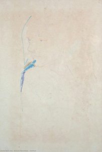 Untitled — Antonio Benetazzo