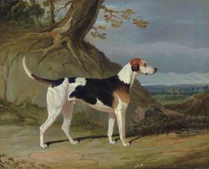 Maleburn, A Foxhound In A Wooded Landscape — John Frederick Herring Senior