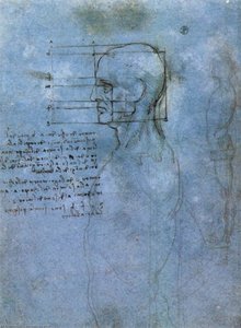 Studie Av Proportioner — Leonardo Da Vinci