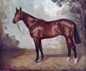 'great Sport' — James Lynwood Palmer