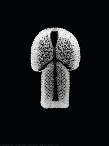 Magnetic Motion, Dress — Iris Van Herpen, Neri Oxman