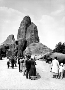 Parc Zoologique Du Bois De Vincennes. Le Grand Rocher Et Les Éléphants. Paris, 1934. — Jacques Boyer