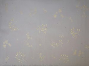 Pines, Bamboo And Plum Blossoms (three Friends In Winter) — Jing Liu