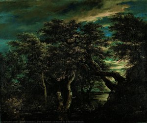 A Marsh In A Forest At Dusk — Jacob Isaackszoon Van Ruisdael