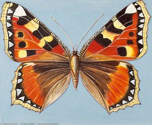 Tortoiseshell Butterfly — Shyama Ruffell