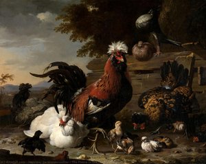 The Peace In The Chicken Yard — Melchior De Hondecoetter