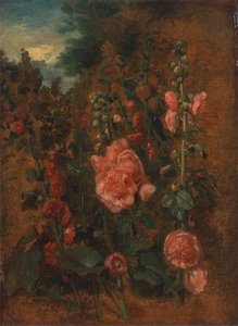 Studie Der Holunder — John Constable