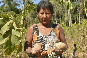 Segurando Batata Doce — Cleber Oliveira De Araújo