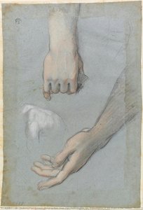Bending Male Bust; Two Hand Studies (for “presentation Of The Virgin In The Temple”, Roma, Church Of Santa Maria In Vallicella) — Federico Fiori Barocci