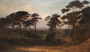 The Firs, Hampstead Heath — William James Callcott