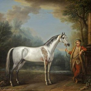 The Bloody-shouldered Arabian — John Wootton