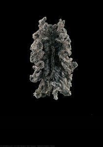Refinery Smoke, Dress — Iris Van Herpen, Neri Oxman