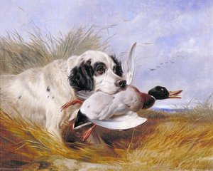 Dog With A Wild Duck — Richard Ansdell
