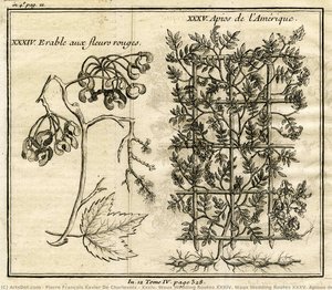 Xxxiv. Waux Wedding Routes Xxxiv. Waux Wedding Routes Xxxv. Apious De L — Pierre François Xavier De Charlevoix