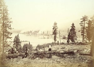 Untitled (aqtdkd) — Carleton Watkins