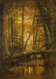 The Woods Of Ashokan — توماس ورثينغتون ويتريج