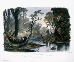 Cutoff River, Branch Of The Wabash — Karl Bodmer