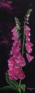 Foxgloves — Michele Elizabeth Field
