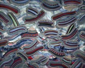 Kensho 'enlightenment' — Peter Corbett