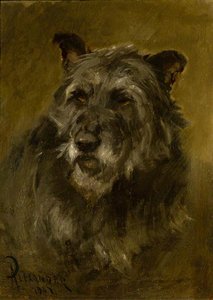 Head Of A Deerhound — Robert L Alexander